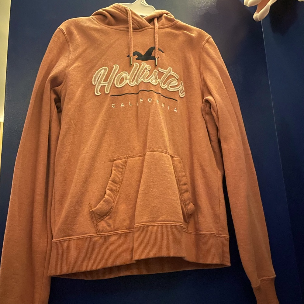 Womens Blush Hollister Sweatshirt